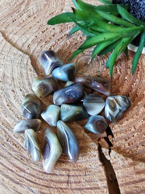 Pierres roulées " Agate du Botswana" (15mm)